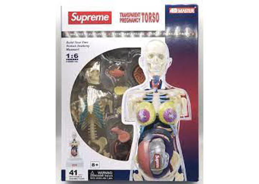 Supreme Female Anatomy Model