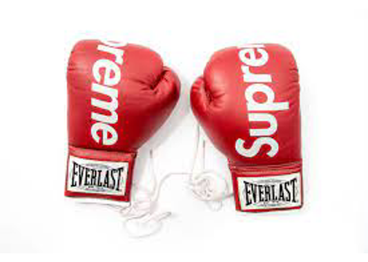 Supreme Everlast Boxing Gloves